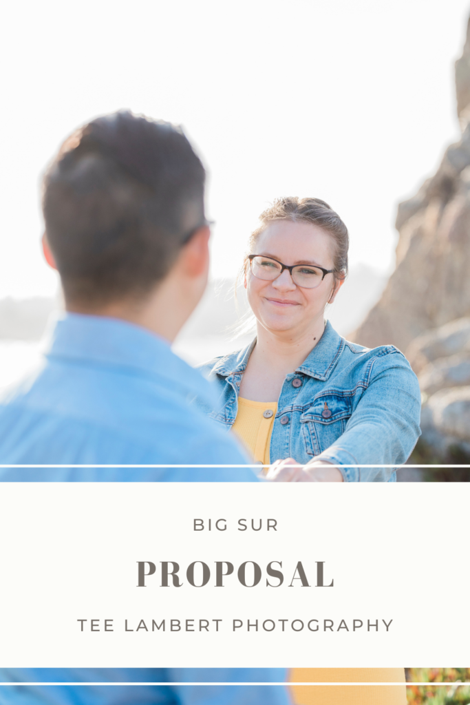 Big Sur Proposal