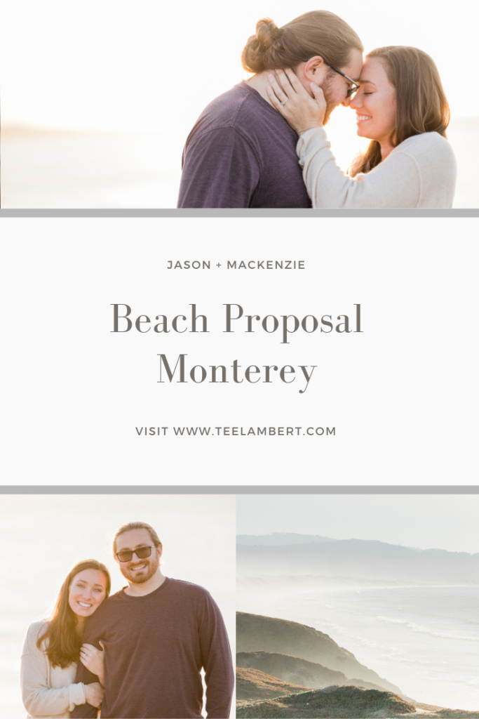 Monterey Beach Proposal