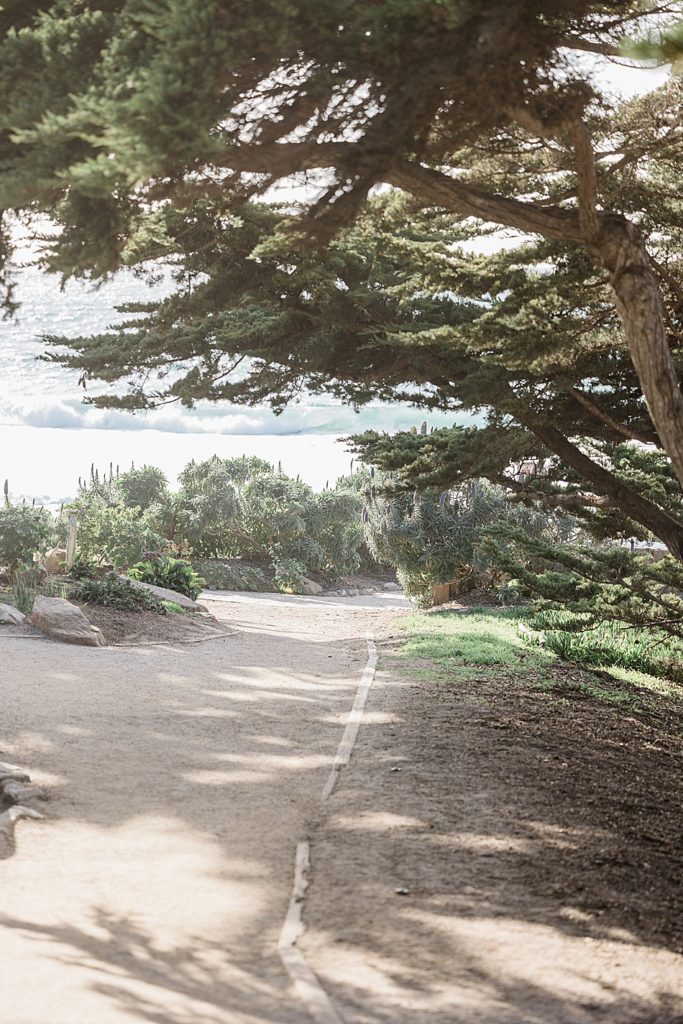 Visit Monterey by Tee Lambert Photography