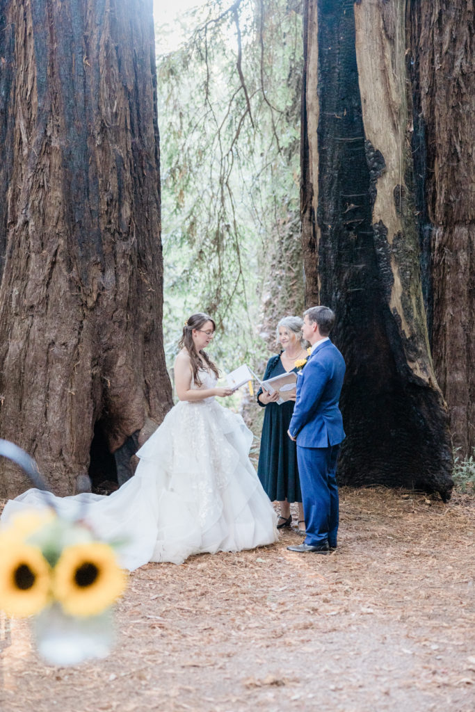 Wedding photos in Santa Cruz